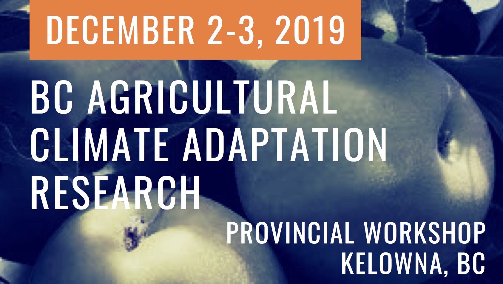2019 Provincial Workshop