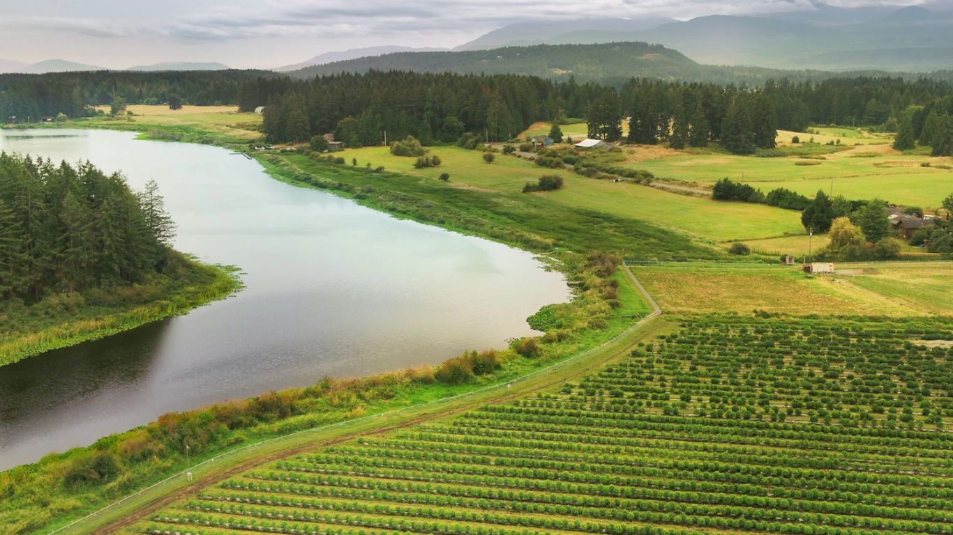 Balancing Act: Climate Action in Agriculture