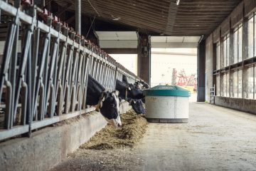 Request for Proposals: AgriVoltaics Feasibility Study (Ministry of Agriculture and Food) 