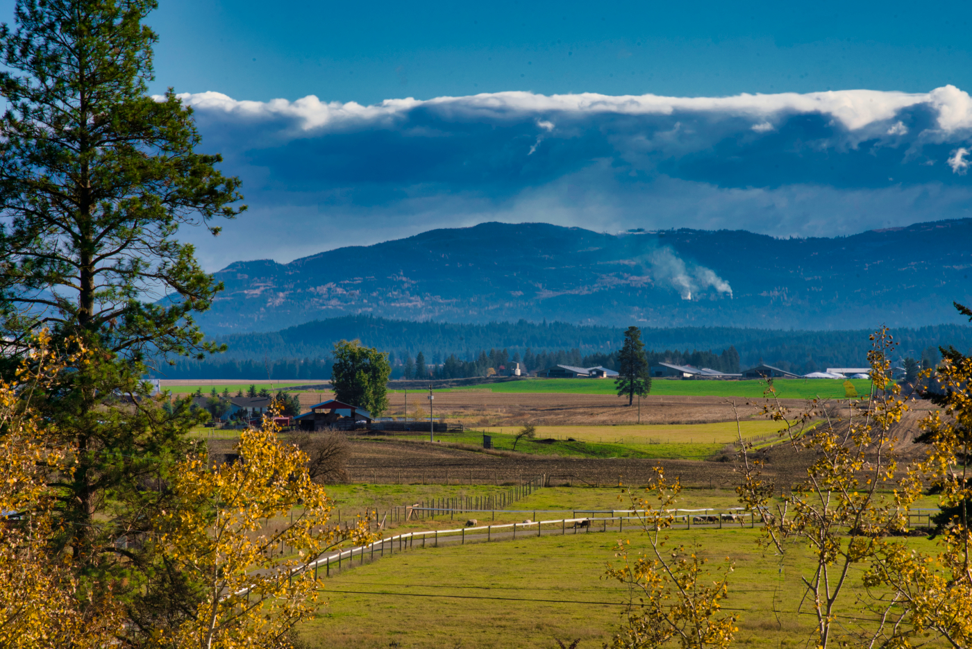 Digital Tools Helping Farmers Build Climate Resilience