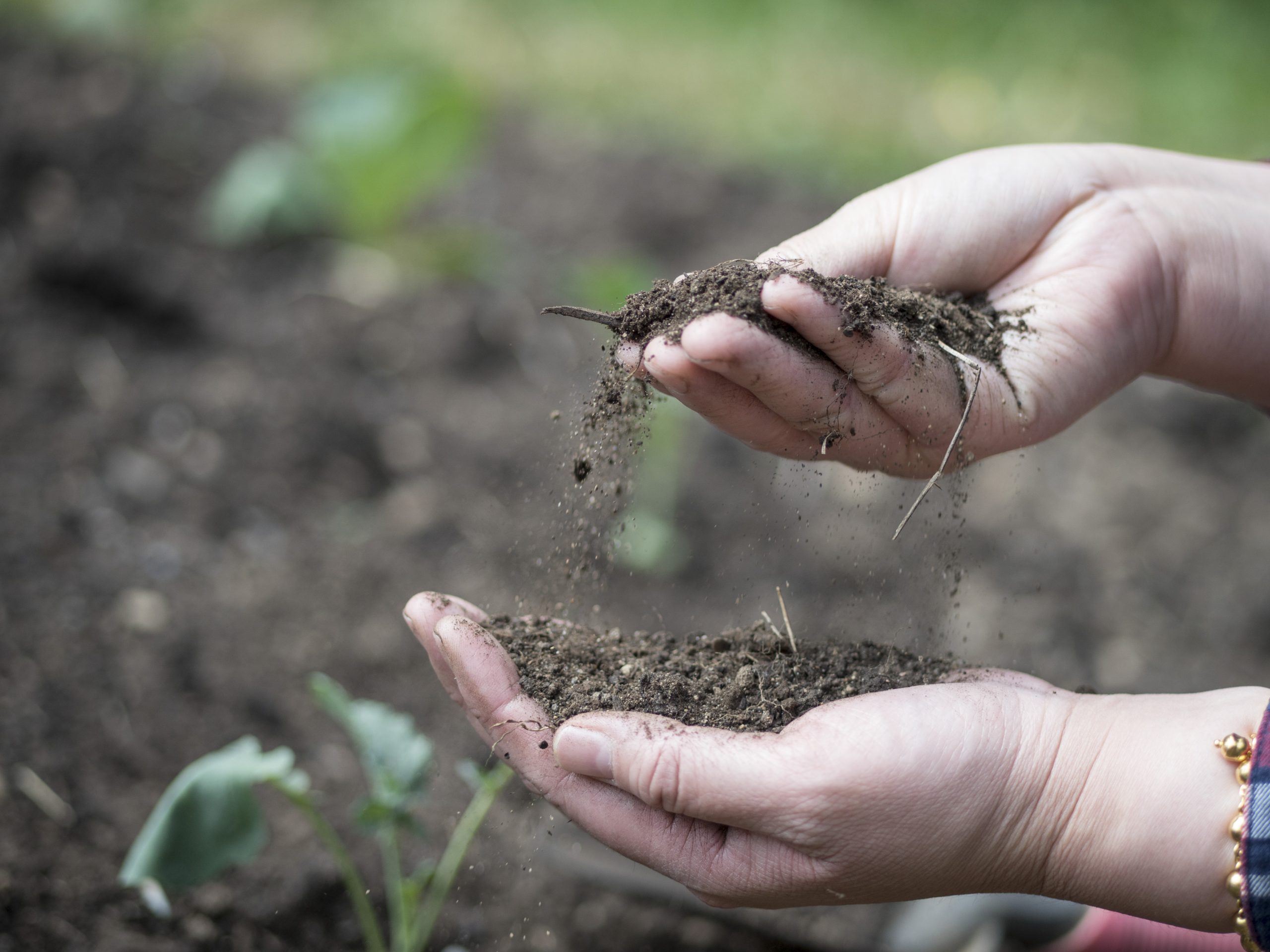 GHG emissions & carbon sequestration in Fraser Valley agricultural systems