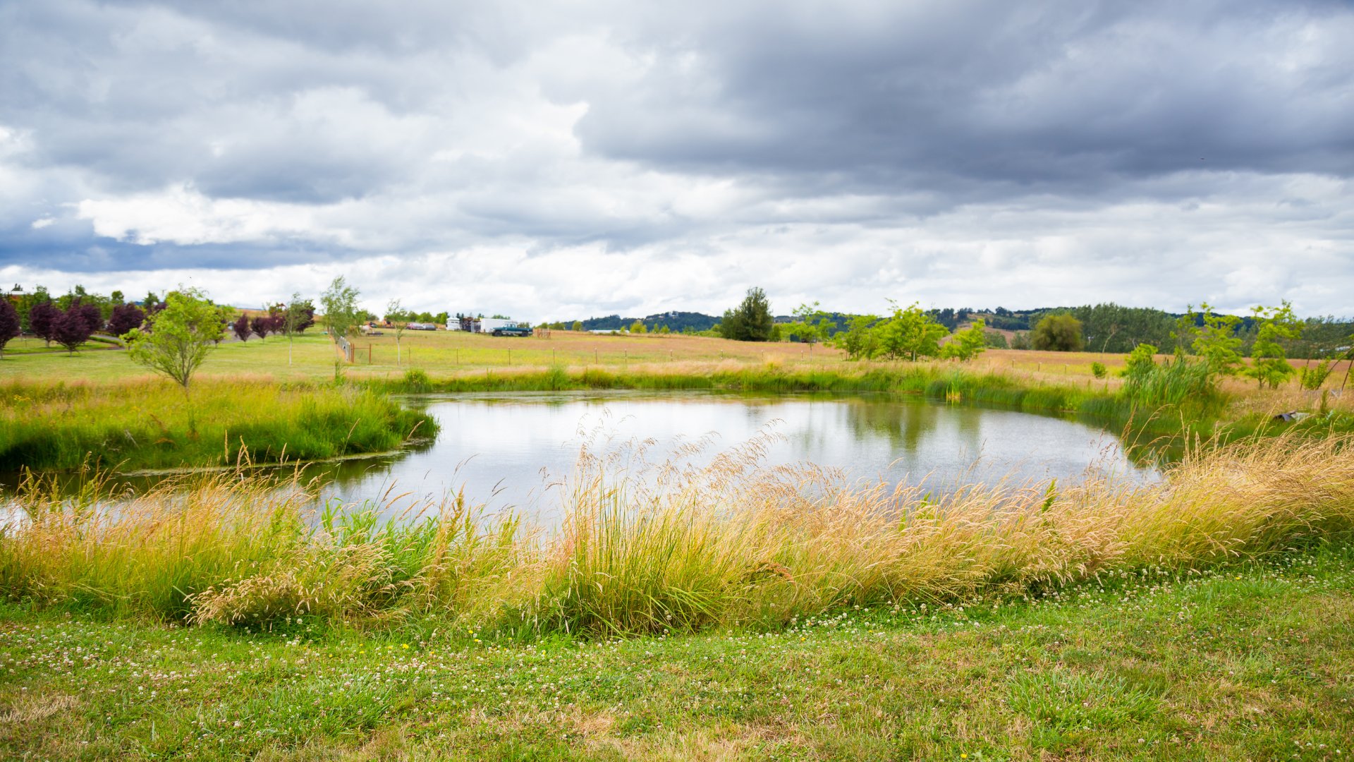 Adaptive capacity for water management
