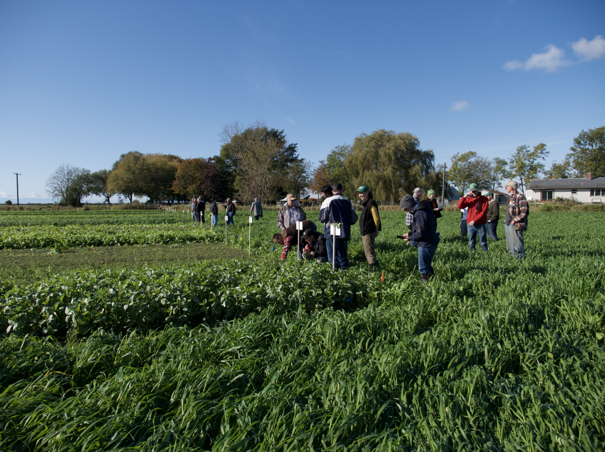Producer Perspectives on Beneficial Management Practices