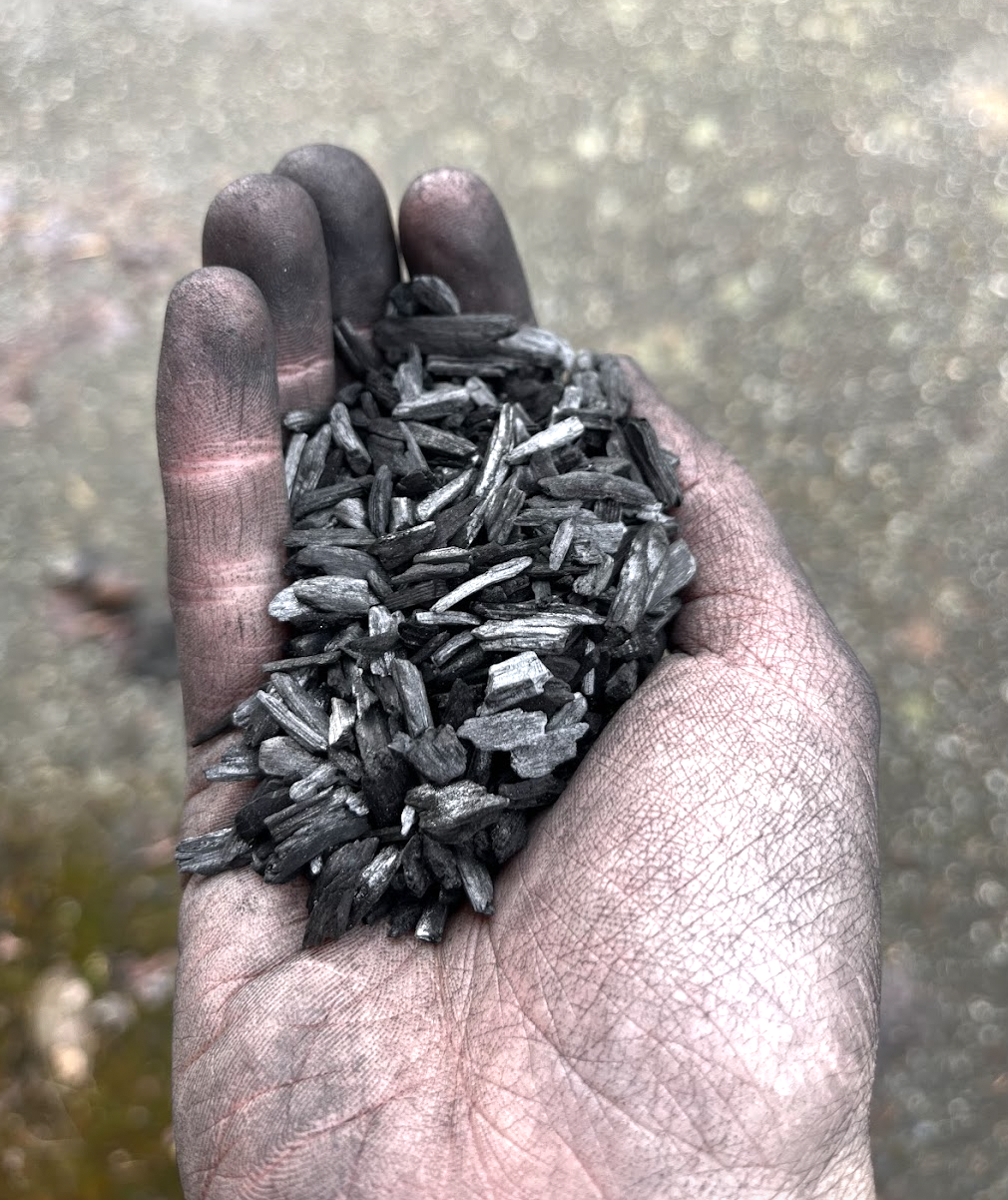 Activated Biochar